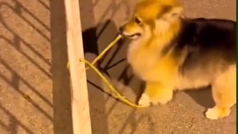 he had the right idea at least even if the