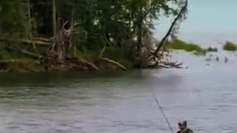 Bear confronts fisherman