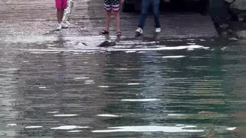 Teenage Boys Tease Sea Lion With Food