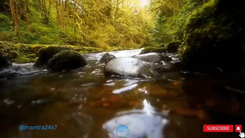 Relaxing Music | Sleeping, Meditation, Stress Relief | [6949] ⭐️