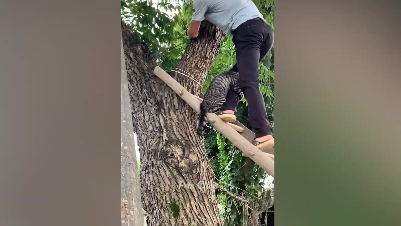 Funniest Animals