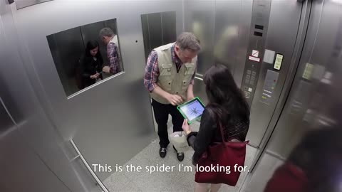 Elevator Spider Prank - iPad Magic with Simon Pierro