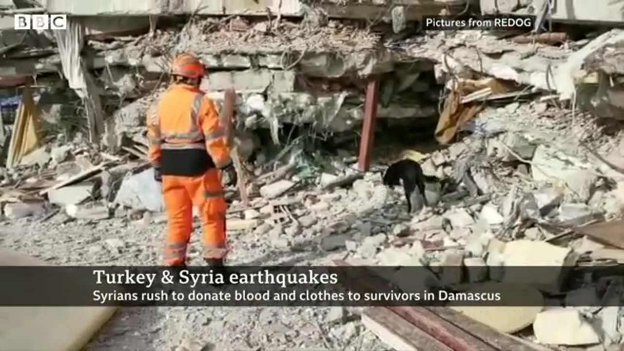 Turkey-Syria earthquake aid efforts bolstered by search and rescue dogs – BBC News