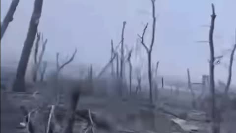 The Wasteland Around Bakhmut