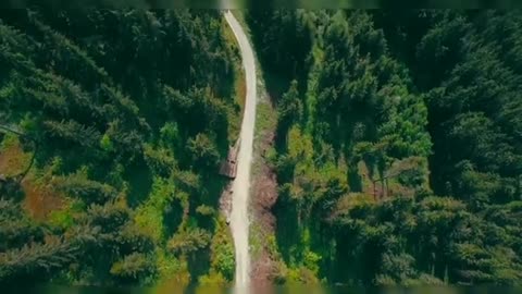 Relaxing Music | Sleeping, Meditation, Stress Relief | [6945] ⭐️