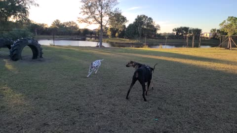 Luna, More Slow Motion Play Time