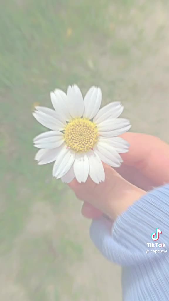 ПОЗДРАВ ЗА РОЖДЕН ДЕН