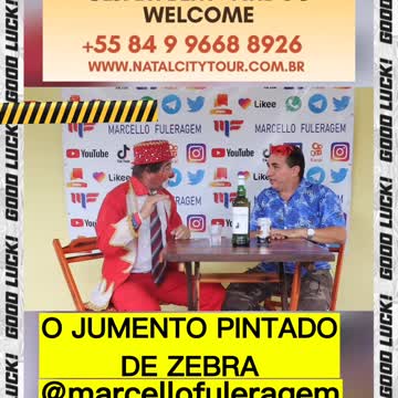 JUMENTO PINTADO DE ZEBRA - PARTE 01