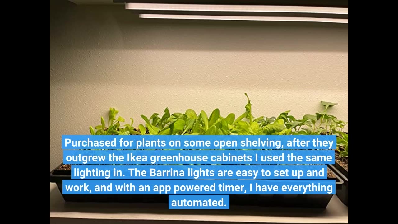 Barrina #GrowLights for Indoor Plants 3FT 5000K-Overview