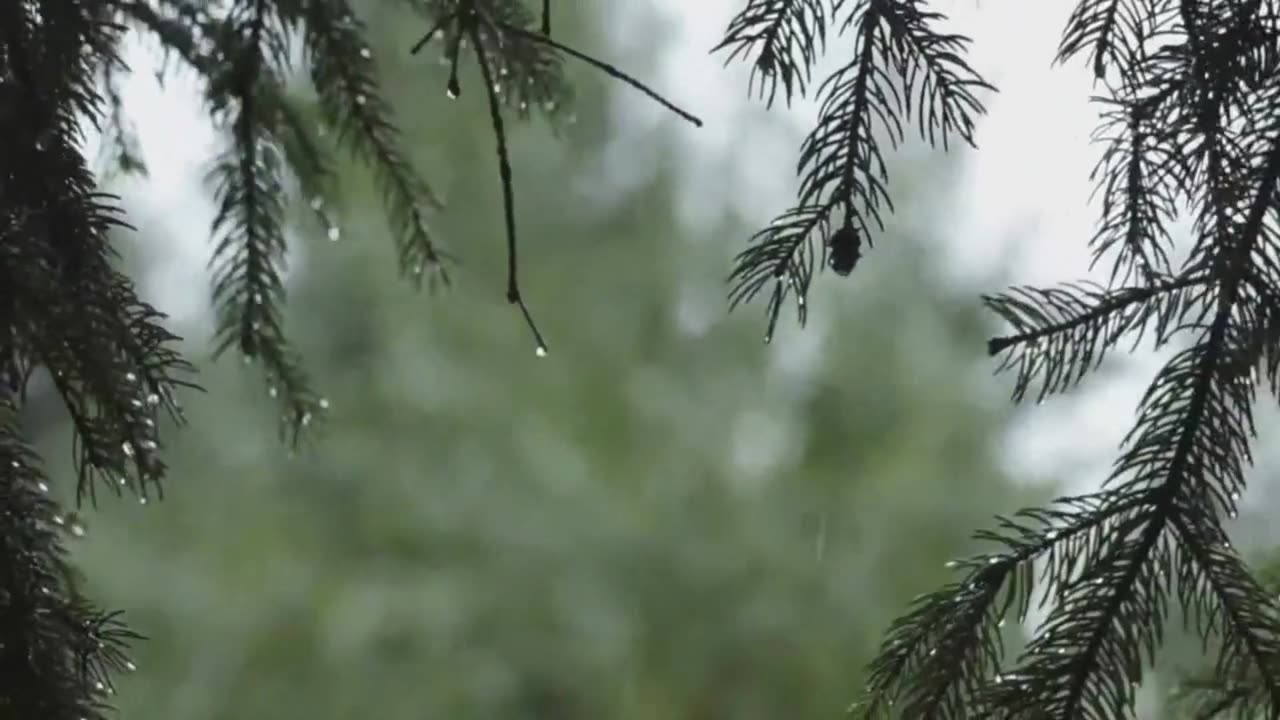 Rain Sounds 30 Minutes - For Study, Relaxation and Sleep