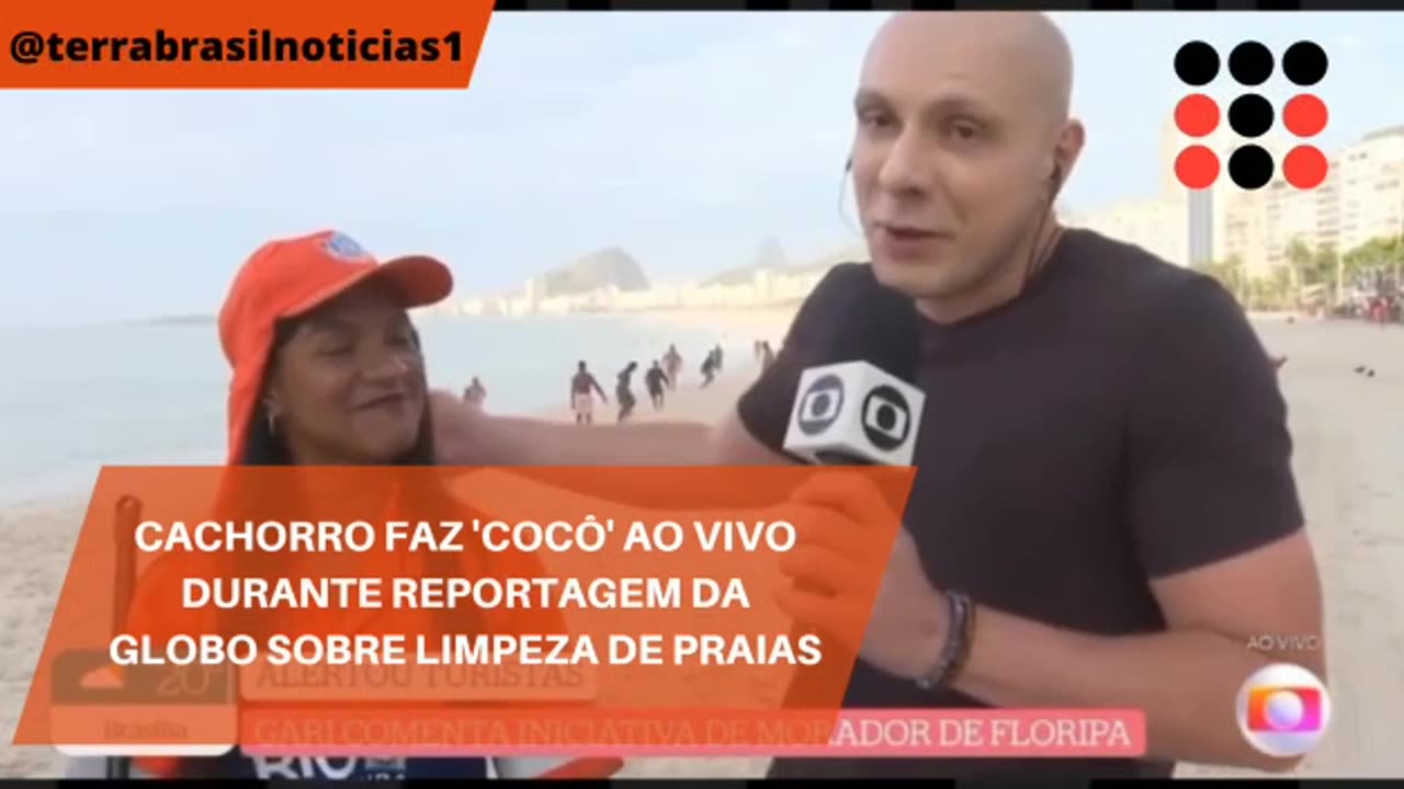 Cachorro faz 'cocô' ao vivo durante reportagem da Globo sobre limpeza de praias