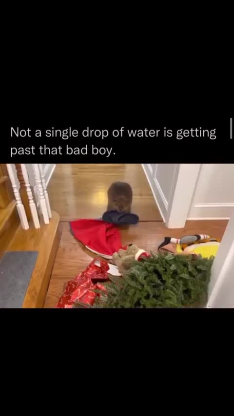 News Break: Not one drop of water shall pass