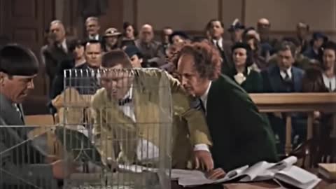 Nuremberg 2 - Pfizer Goes to Court :)