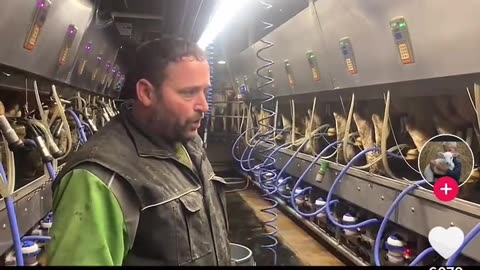 Dairy farmer in Ontario explains why he HAS TO dump excess milk