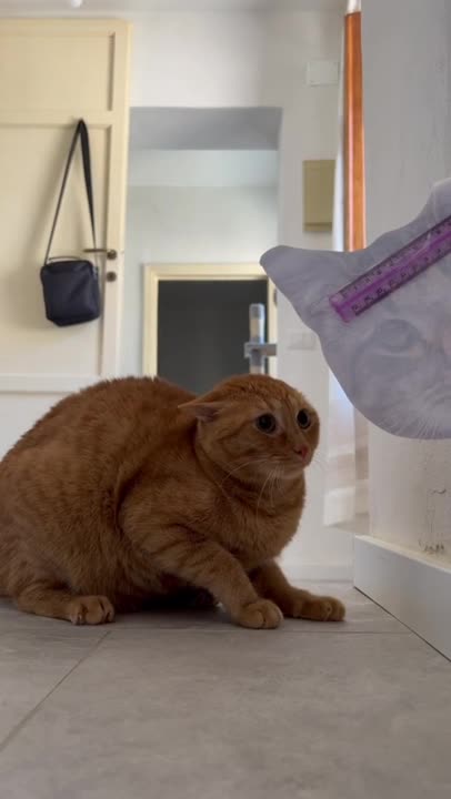 The owners are trolls