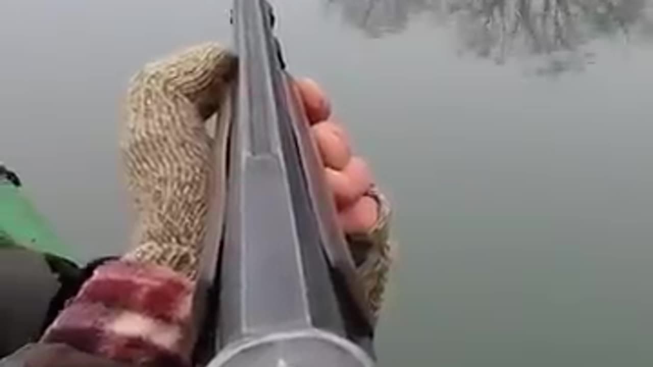 Duck hunting