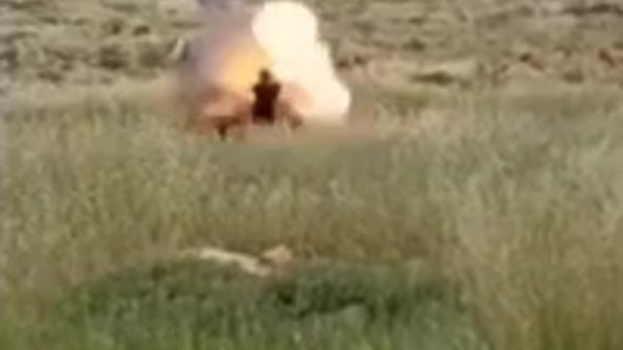 A Palestinian flag exploded when an Israeli man tried to remove it in a field near a West Bank road