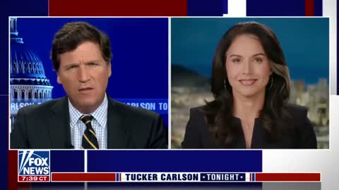 Tulsi Gabbard- This Biden official just 'exposed' the administration