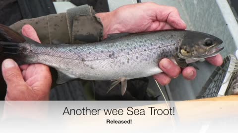 a fishing trip to the Uist Islands