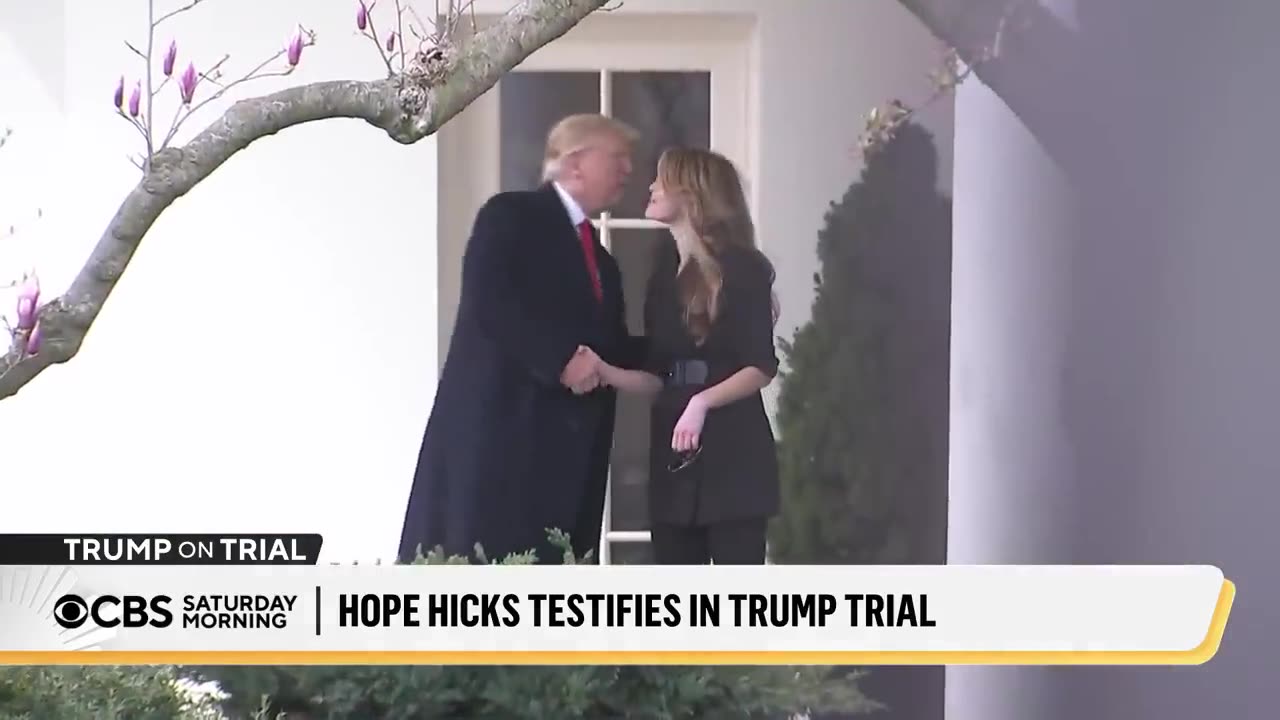 Hope Hicks Testifies in Trump's New York Trial