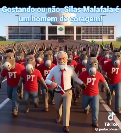 Os verdadeiros terroristas os petistas e MST.