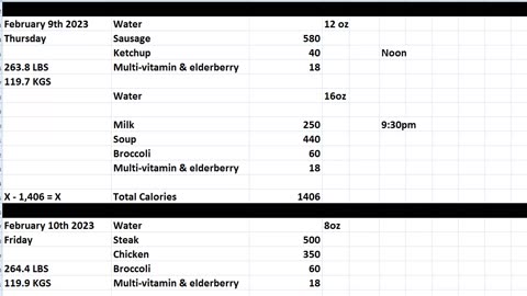 Daily Calorie Count: February 9th, 10th & 11th