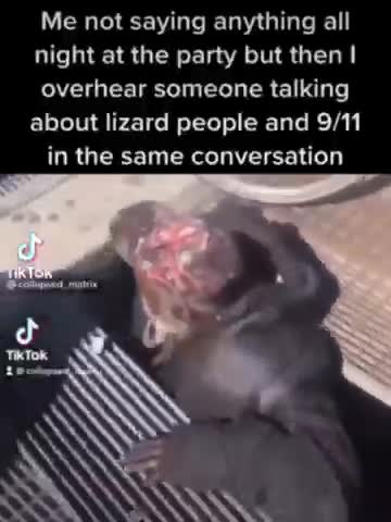 News Break. Me after being silent at the party. Then I hear something about lizard people and 9/11.