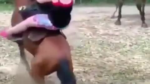 Even the animal kingdom is done with "Fat is Beautiful"