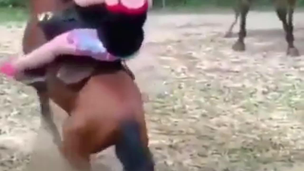 Even the animal kingdom is done with "Fat is Beautiful"