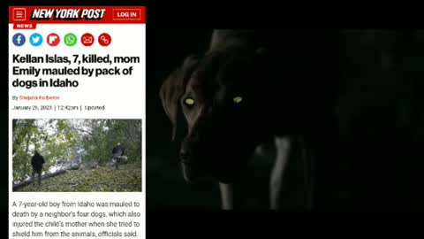 MAN'S BEST FRIEND IS BECOMING MAN'S WORST DEMONIZED KILLER !!!