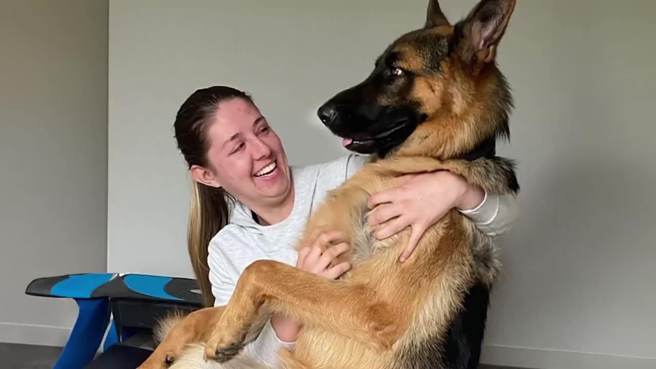 TRY NOT TO LAUGH AT THE CUTEST ANIMALS - Funniest pet videos of 2024 😂 #5