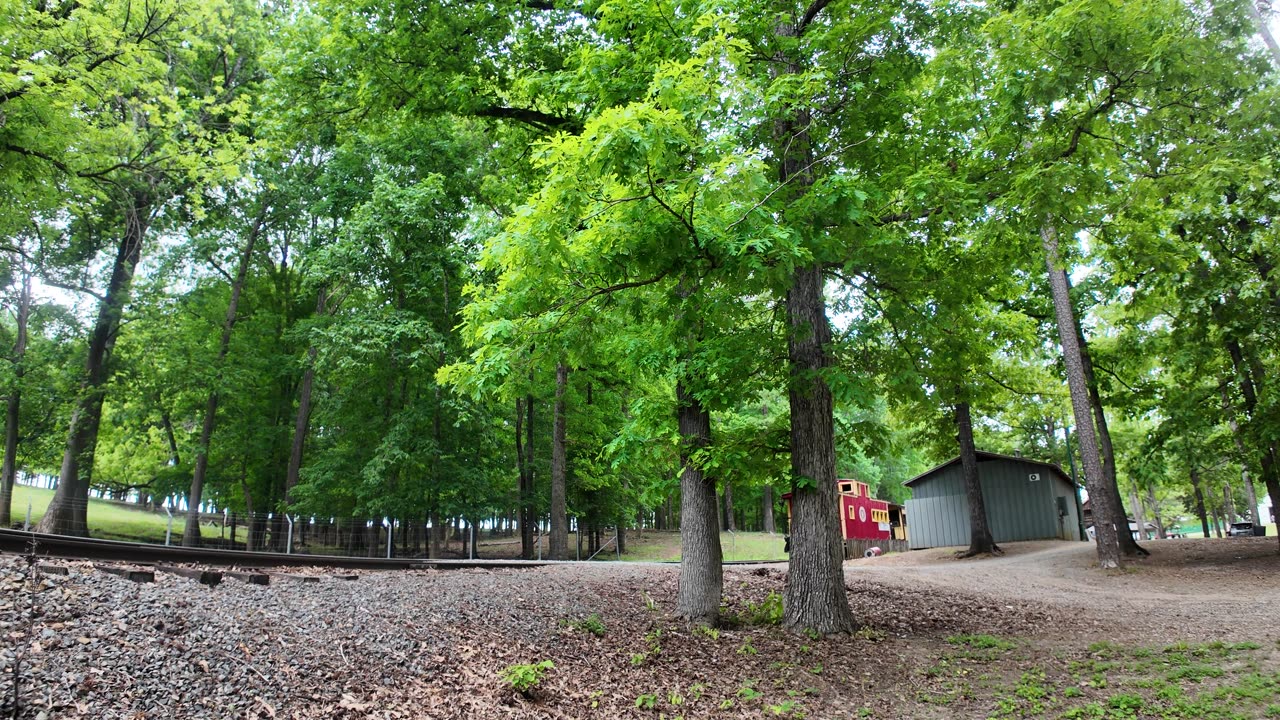 Train Rolling Through The Woods Of Denton Farm Park