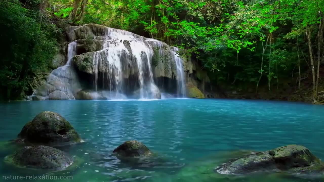 Waterfall Sound Relaxing Rainforest Nature,Sleep Sound Birds Ambience