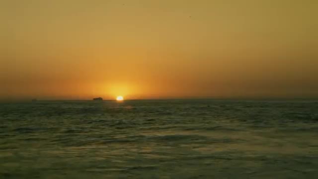 Vanessa Da Mata - Segue o Som