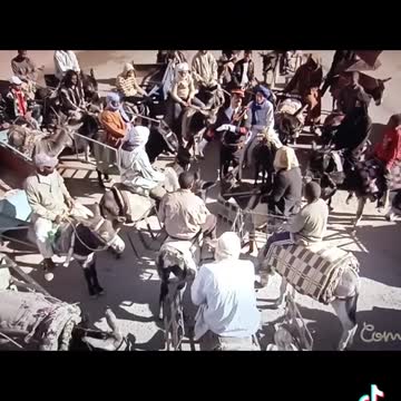 Tiktok video - Funny