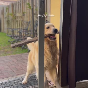 may the doors open for all your blessings & sticks