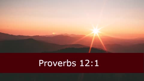 One Minute Proverbs 12 Devotional -- February 12, 2023