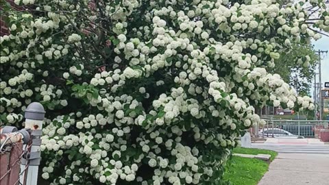 Spring colors