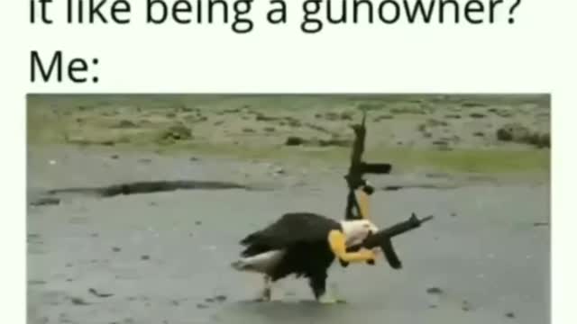 America Land of the Great
