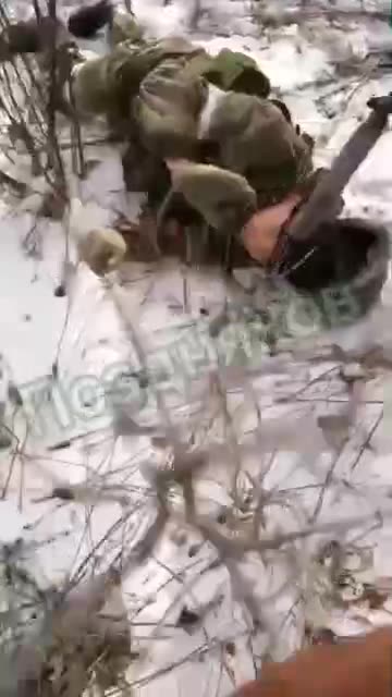 Ukrainian War crimes.