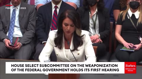 Tulsa Gabbard lays out how Big Tech working with Big government to shut down speech