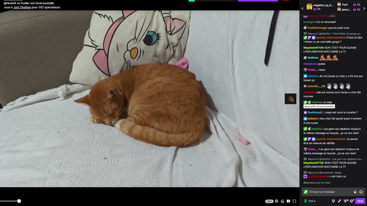 2023-02-04 (3bis.2) - Vermifuger le chat - Twitch Decheterie (version avec chat)
