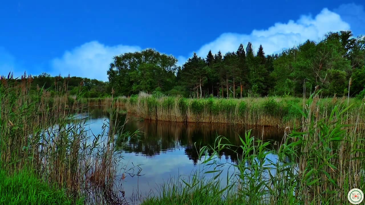 Relaxing Music Video Relaxation Mood: Calming, Peaceful, Soothing