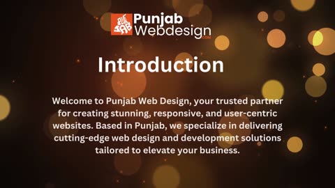 Affordable Web Solutions for Businesses in Punjab