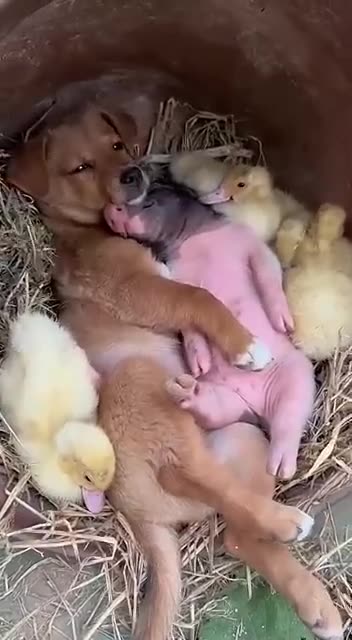 Not sure what to make of this 🤣