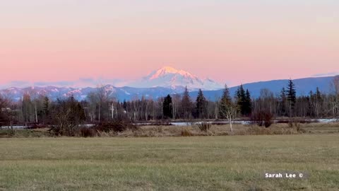 Beautiful Mountain View and dozens of Red Winged Blackbirds Singing!