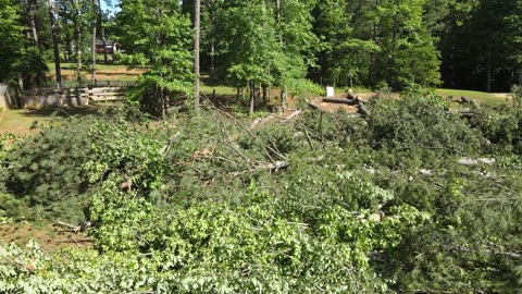 KaraBand Drop 30 Trees