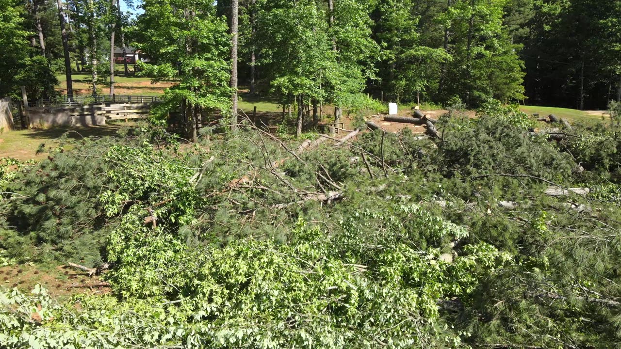 KaraBand Drop 30 Trees