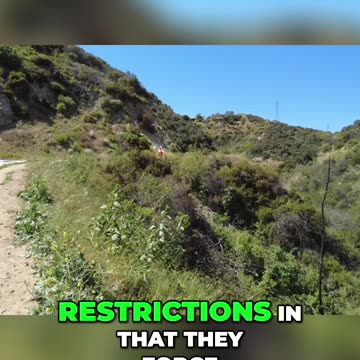 The Power of Speech: Balancing Freedom and Restrictions in Europe and America