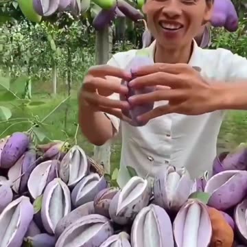 What’s the fruit called?